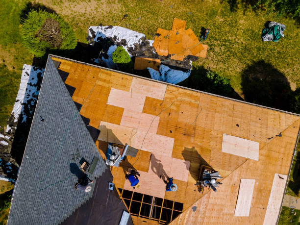 Best Storm Damage Roof Repair  in Granville, WV